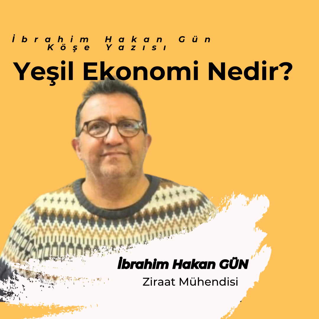 YESİL EKONOMİ NEDİR?