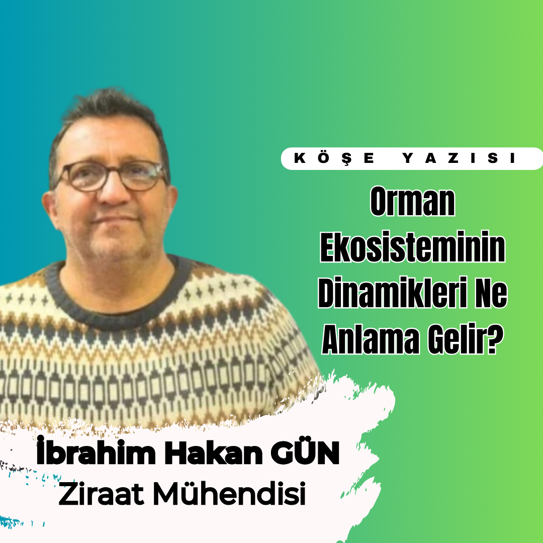 ORMAN EKOSİSTEMİNİN DİNAMİKLERİ NE ANLAMA GELİR?