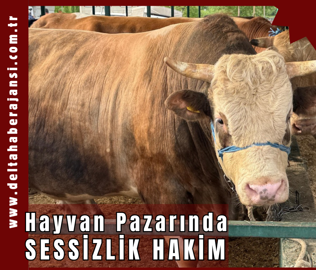 Pazarda Sessizlik Hakim