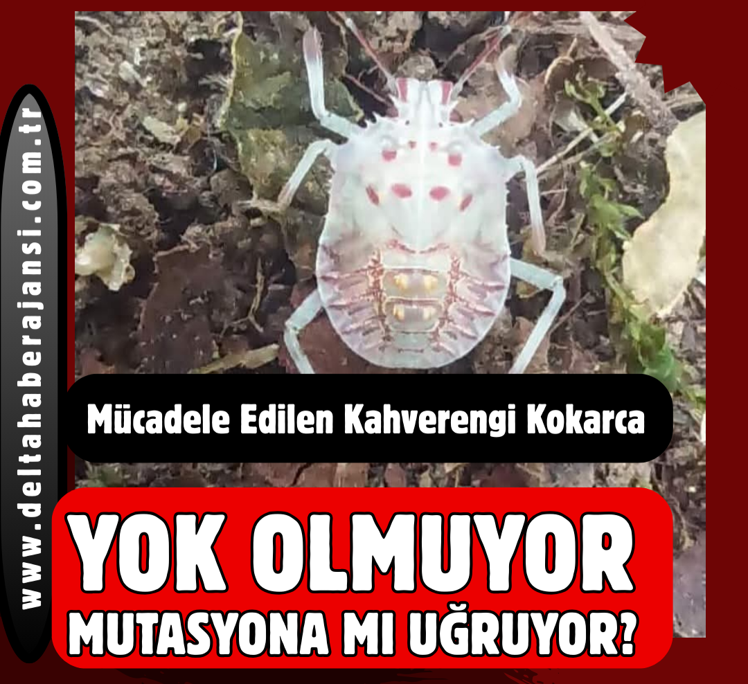 YOK OLMUYOR, MUTASYONA MI UĞRUYOR?