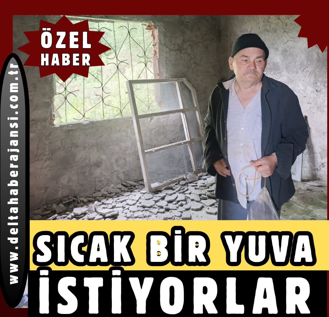 SADECE SICAK BİR YUVA İSTİYORLAR
